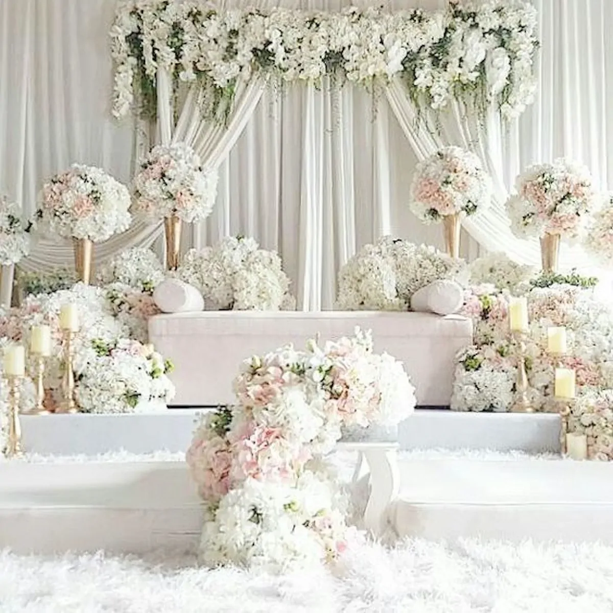 Blush hydrangea stage